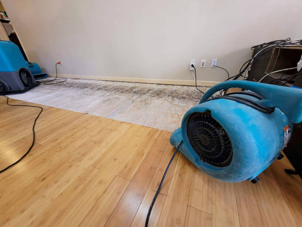 Professional Water Damage Repair technician working in Broomfield, CO